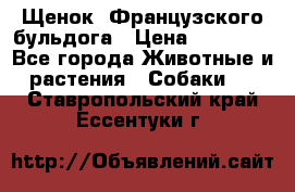 Щенок  Французского бульдога › Цена ­ 35 000 - Все города Животные и растения » Собаки   . Ставропольский край,Ессентуки г.